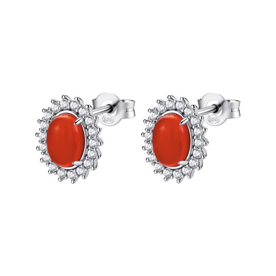 Earrings Brosway Woman FANCY - PASSION RUBY in Silver FPR139 - FPR139